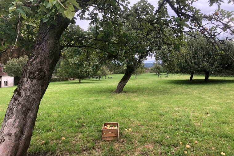 Psychosomatische Klinik Kloster Diessen Obstwiese 